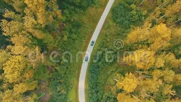 空中跟随视频汽车沿着蜿蜒的道路行驶穿过秋天的森林有绿色和黄色的树梢视频的预览图