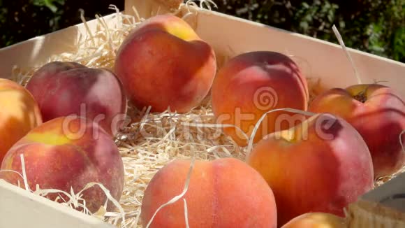 在阳光明媚的夏日女人的手把成熟的桃子放进木箱里视频的预览图
