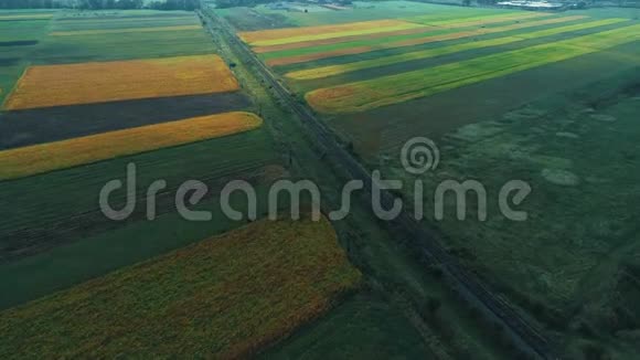 在广阔的田野上飞翔农业植物生长铁路建在田野中间视频的预览图
