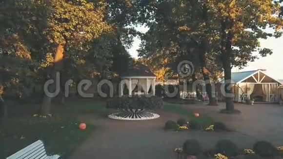 在秋天的公园里一架美丽的白色钢琴带着鲜花飞向白色的熊视频的预览图