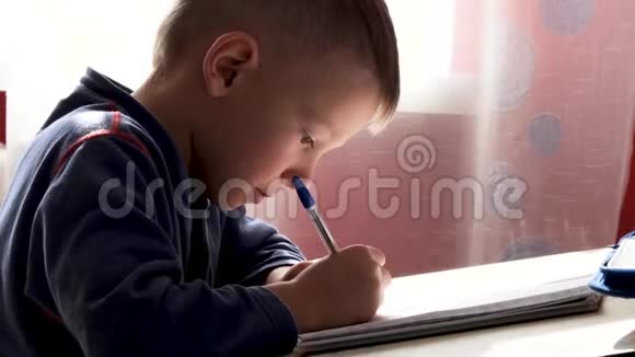 孩子用钢笔在笔记本上写字视频的预览图