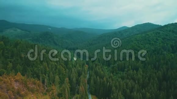 山景山山之间的道路覆盖着永远绿色的松林视频的预览图