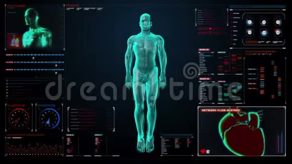 人体骨骼和血液血管系统内部扫描人体在数字医学显示用户界面面板视频的预览图