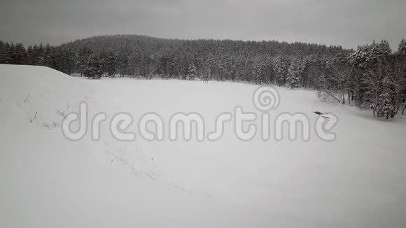晚上的黑白冬季自然视频视频的预览图