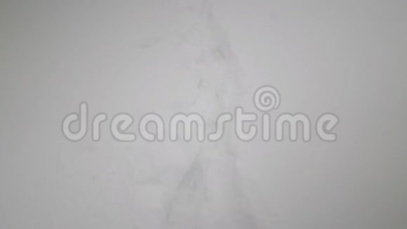 晴天大雪中的人类脚印视频的预览图