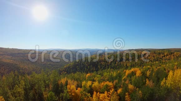 在秋天的森林里无人机飞过美丽多彩的树木视频的预览图