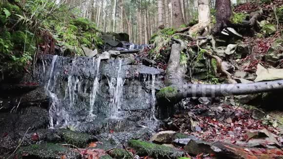 一个小瀑布的景色流动在石墙周围绿色的背景苔藓和树叶水喷雾器的特写视频的预览图