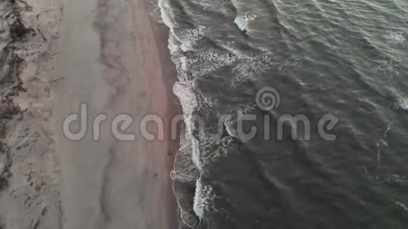 一段关于日落后蓝色小时热带海滩的视频显示傍晚绿色的画面视频的预览图