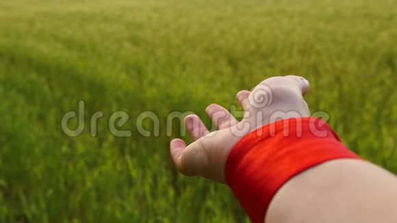 女手特写手腕上戴着红色丝带映衬着一片绿油油的麦田动作缓慢视频的预览图