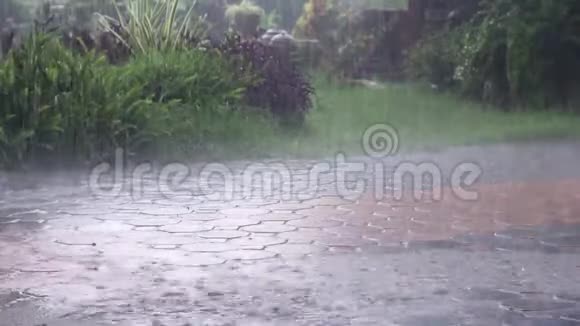 路面和自然花园背景下的大雨多风视频的预览图