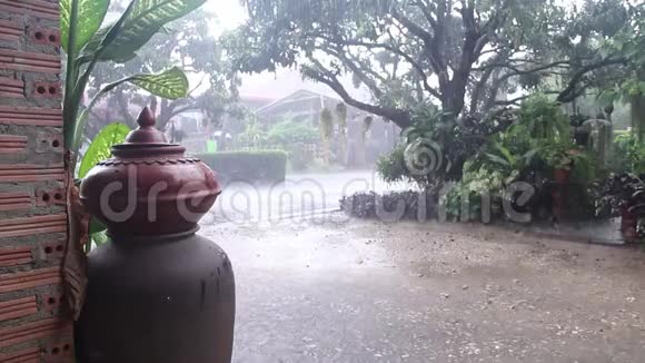 前院大雨和景观自然花园背景多风视频的预览图