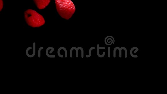 落在黑色背景上的红树莓视频的预览图