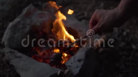 傍晚在森林里点燃了篝火火焰燃烧着灌木树枝视频的预览图