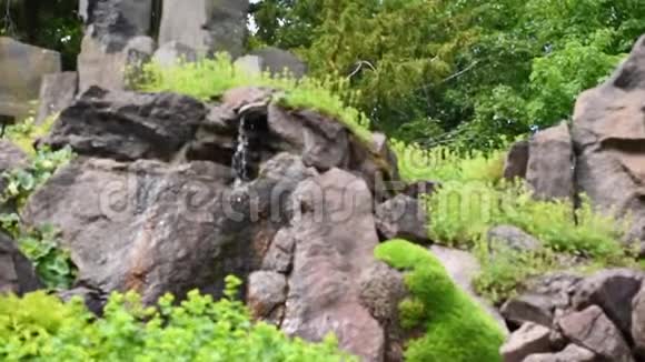 德累斯顿植物园禅岩花园视频的预览图