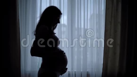美丽的孕妇站在窗边抚摸着她的腹部的黑色轮廓视频的预览图