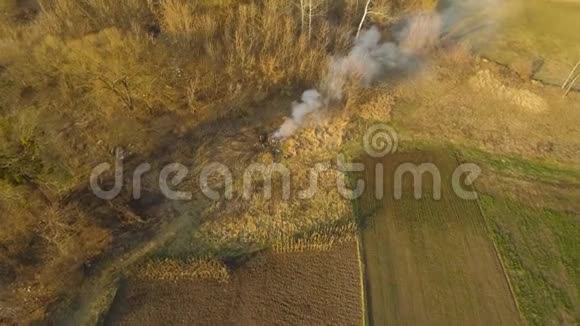 鸟瞰农民在田野上燃烧的火早春人们焚烧枯叶和树枝视频的预览图