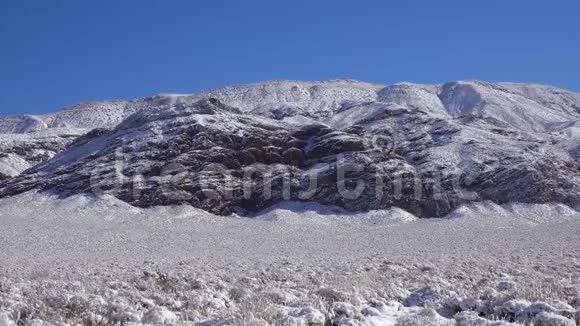 美国加利福尼亚州死亡谷国家公园附近山口的冰雪气旋沙漠植物上的积雪视频的预览图