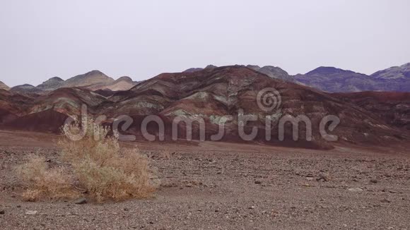 加州沙漠中的丘陵来自各种彩色粘土地层周围的沙漠植被视频的预览图