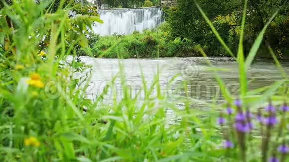威尔斯瀑布的根河在拉尼斯博罗明尼苏达州放大视频的预览图