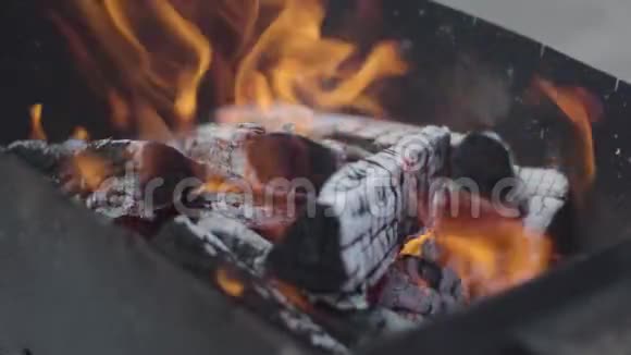 在烧烤架里燃烧的树林的特写红色的火焰在室外上升烧烤燃料烹饪视频的预览图