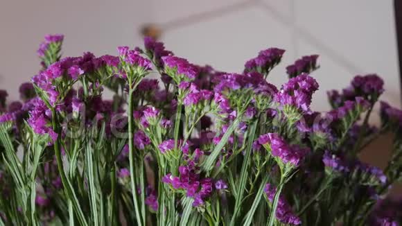 紫色的花鲜花在商店出售以供装饰和祝贺视频的预览图