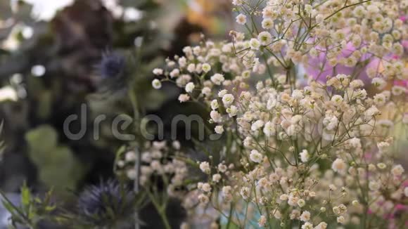 粉红色和白色吉普索菲拉花的特写鲜花店装修及祝贺视频的预览图