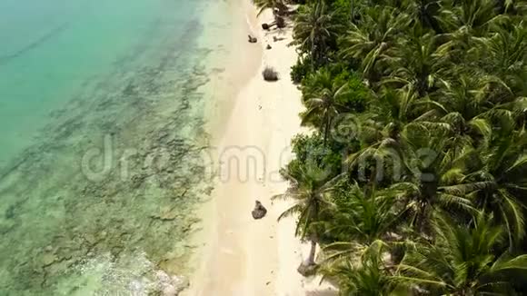 带椰子树的白色沙滩巴拿马群岛菲律宾视频的预览图