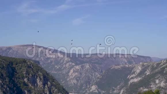 鸟儿飞得很高背景下山谷山峰全景视频的预览图