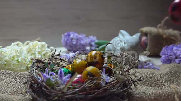 孩子们手把彩色鹌鹑复活节彩蛋放进巢里视频的预览图
