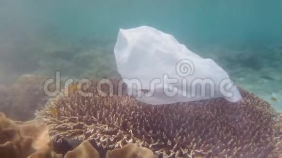 美丽的珊瑚礁被塑料袋污染了视频的预览图