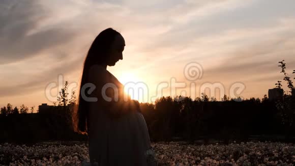 日落时一个年轻的孕妇坐在花田里视频的预览图