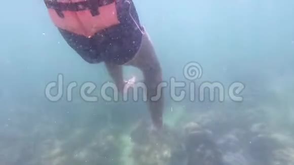 女人的双腿穿着比基尼在浑浊的海水中游泳视频的预览图