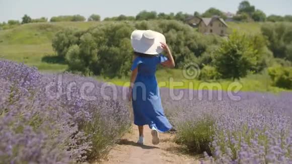 快乐的女人在紫色的薰衣草地奔跑视频的预览图
