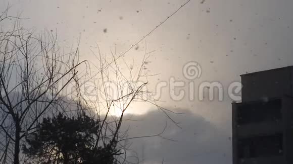 大的雪花在空中盘旋降雪是一种天气现象视频的预览图