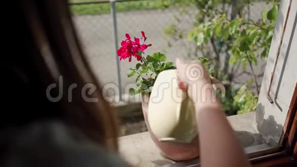 近点美丽的年轻女子在家里的窗台上用白色的水壶浇花视频的预览图