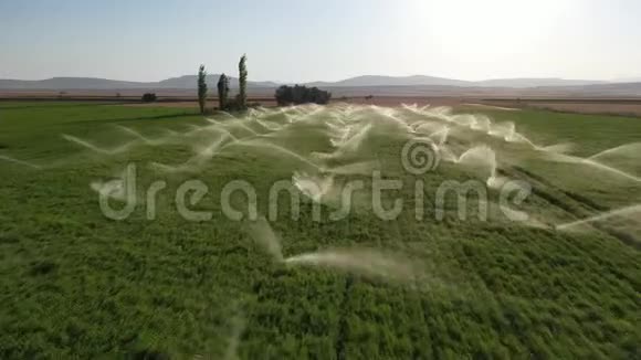 灌溉喷水灭火系统正在田间工作空中观景视频的预览图