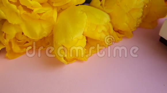 节日用的黄色郁金香花束妇女节情人节姓名日在粉红色的背景上视频的预览图