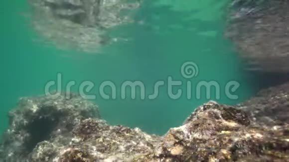 水下岩石的景色视频的预览图