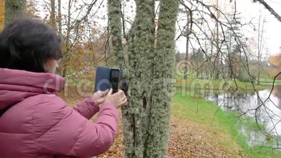 秋日阴天中东白种人女人做树照片视频的预览图