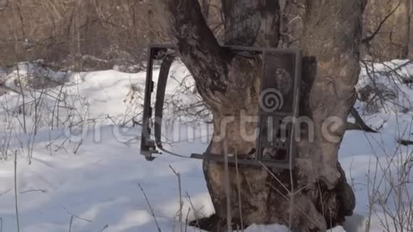 冬天森林里一台破旧电视机的概念视频的预览图