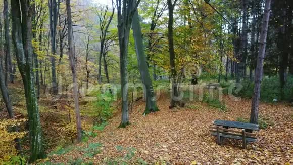 彩色秋天公园木凳周围棕叶的鸟瞰图视频的预览图