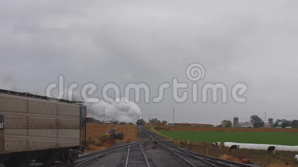 蒸汽机车拉着货物驶入车场牛群也在一旁看着烟雾和蒸汽视频的预览图