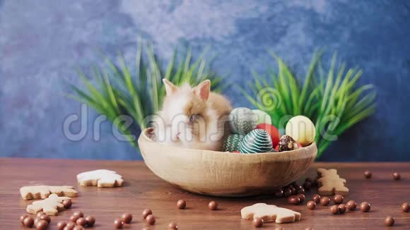 可爱的复活节兔子在篮子里五颜六色的鸡蛋和糖果在木桌上复活节节日装饰品复活节概念背景视频的预览图
