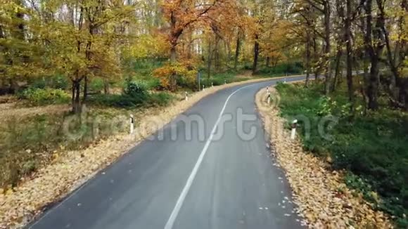 穿越森林的道路鸟瞰图高山之秋视频的预览图