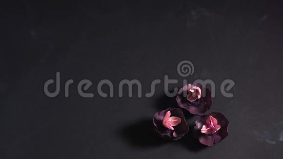 美丽的小芳香花在黑色的背景上烟雾四处发展按摩芳香疗法和视频的预览图