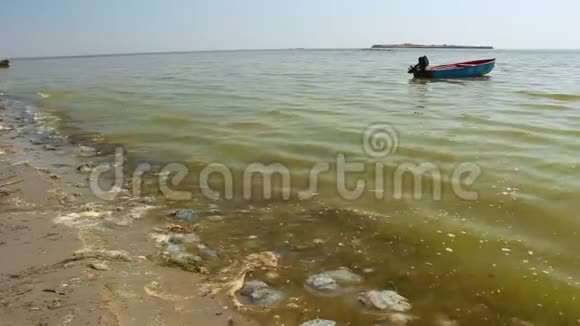 海浪把死去的美杜莎扔到沙滩上黑海视频的预览图
