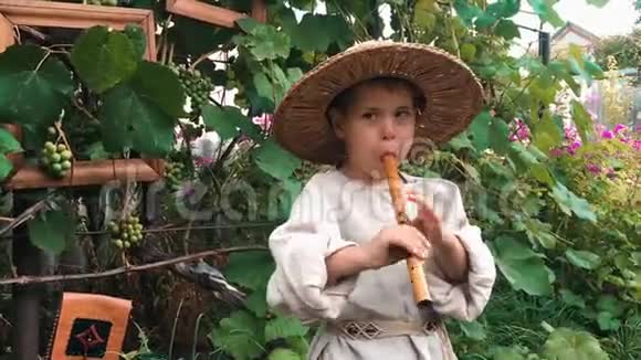 近距离观看小幸福迷人的孩子在花园里学习演奏乐器可爱的男孩努力想扮演一个视频的预览图
