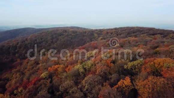 秋季鸟瞰山林高山之秋视频的预览图