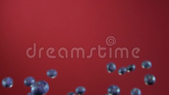 一大片美味的蓝莓正在红色背景上飞舞视频的预览图