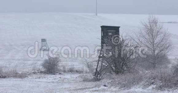 冬天的风景覆盖着雪视频的预览图